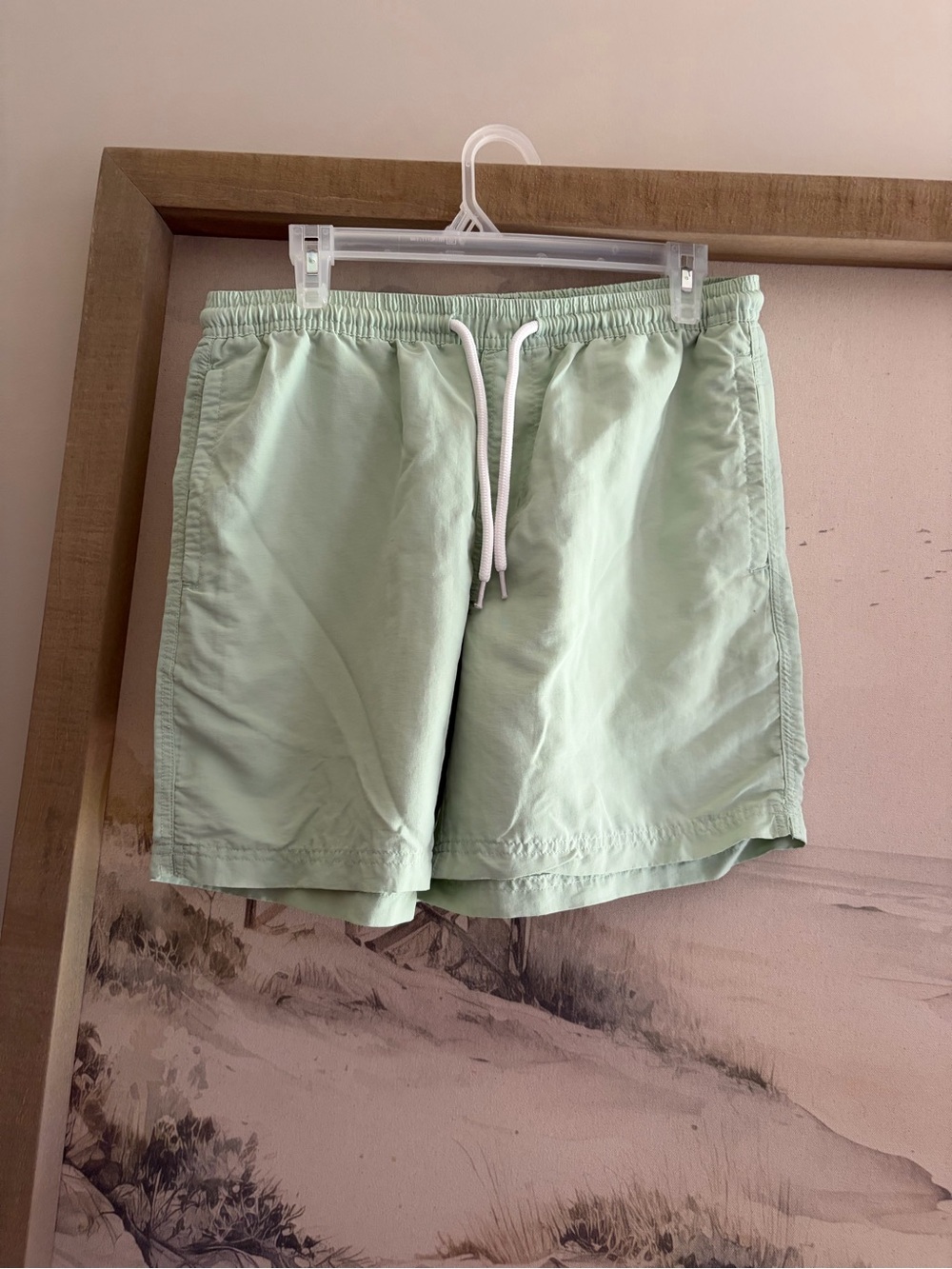 Men's Mint Green RSQ Drawstring Shorts